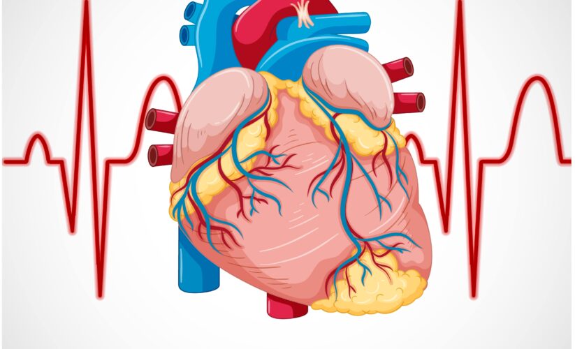 Leading Cardio Clinic in Chromepet for Exceptional Heart Care