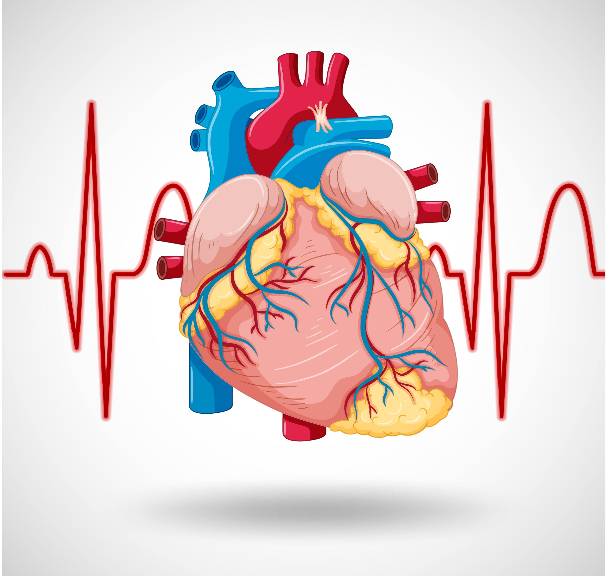 Discover the Best Cardiologists in Tambaram